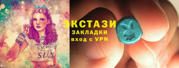 ECSTASY Богородицк